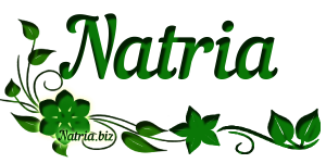 natriabiz_logo
